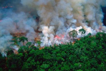 Un important incendie ravage la forêt amazonienne , août 2019