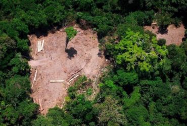 Une photographie aérienne de l'Amazonie mettant en exergue la deforestation